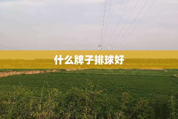 什么牌子排球好