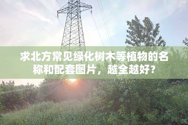 求北方常见绿化树木等植物的名称和配套图片，越全越好？