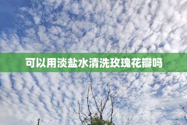 可以用淡盐水清洗玫瑰花瓣吗