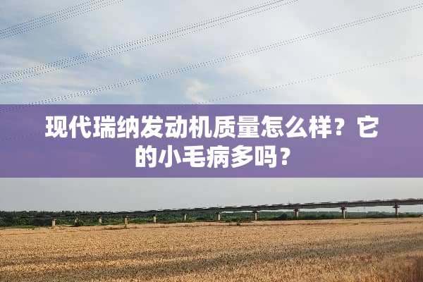 现代瑞纳发动机质量怎么样？它的小毛病多吗？