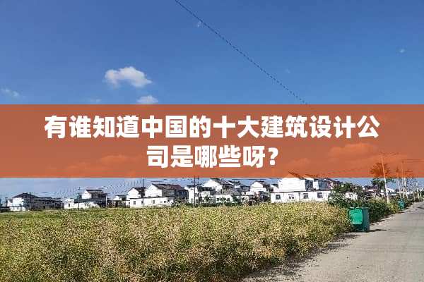 有谁知道中国的十大建筑设计公司是哪些呀？