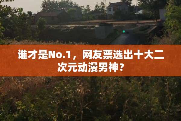 谁才是No.1，网友票选出十大二次元动漫男神？