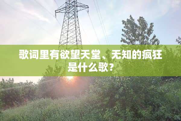 歌词里有**天堂、无知的疯狂是什么歌？