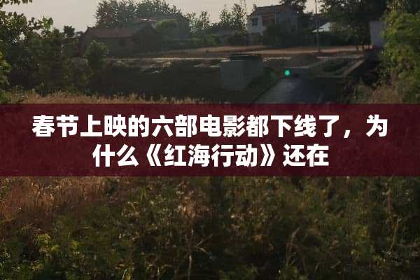 春节上映的六部电影都下线了，为什么《红海行动》还在