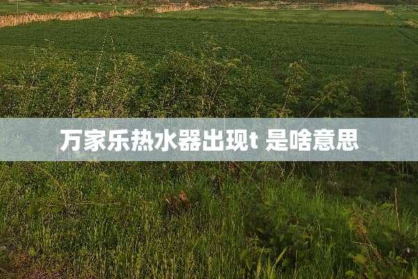 万家乐热水器出现t 是啥意思