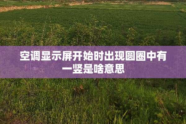 空调显示屏开始时出现圆圈中有一竖是啥意思