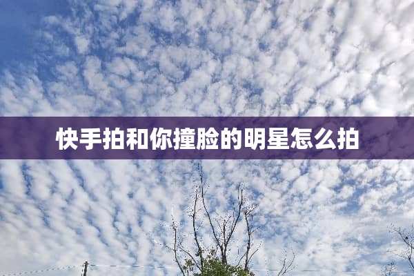 快手拍和你撞脸的明星怎么拍