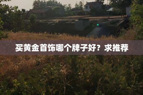 买黄金首饰哪个牌子好？求推荐
