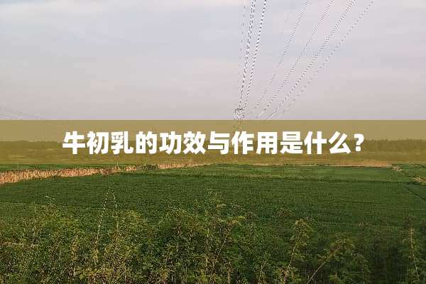 牛初*的功效与作用是什么？