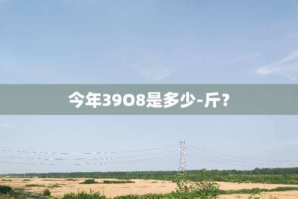 今年39O8是多少-斤？