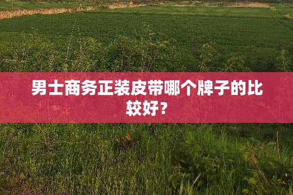 男士商务正装皮带哪个牌子的比较好？