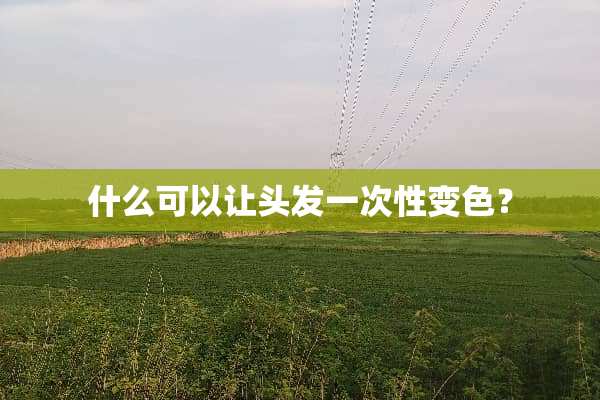什么可以让头发一次性变色？