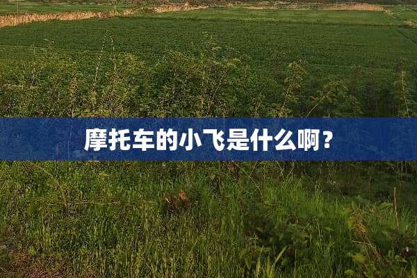 摩托车的小飞是什么啊？