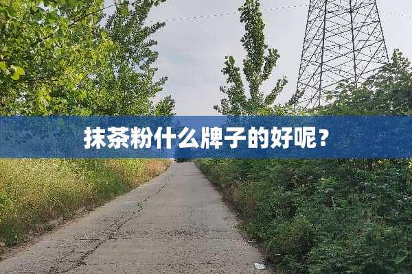 抹茶粉什么牌子的好呢？