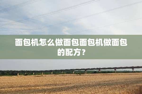 面包机怎么做面包面包机做面包的配方？