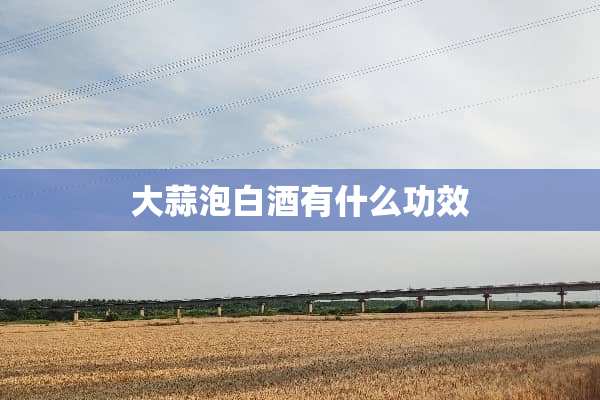 大蒜泡白酒有什么功效