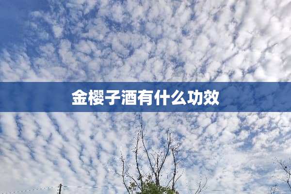 金樱子酒有什么功效