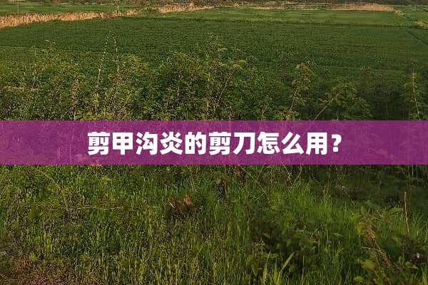 剪甲沟炎的剪刀怎么用？