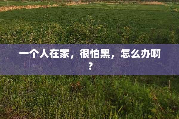 一个人在家，很怕黑，怎么办啊？