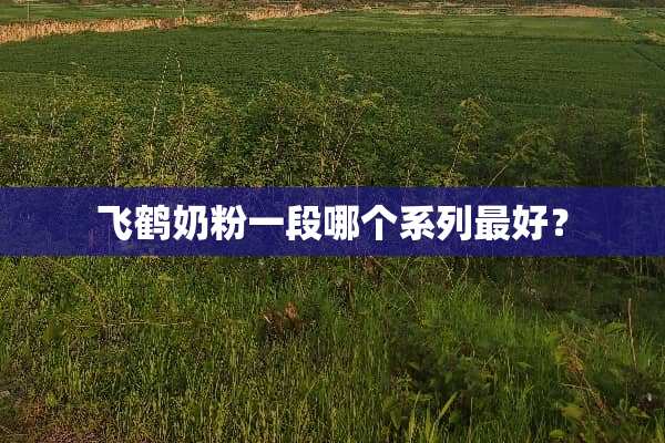 飞鹤奶粉一段哪个系列最好？
