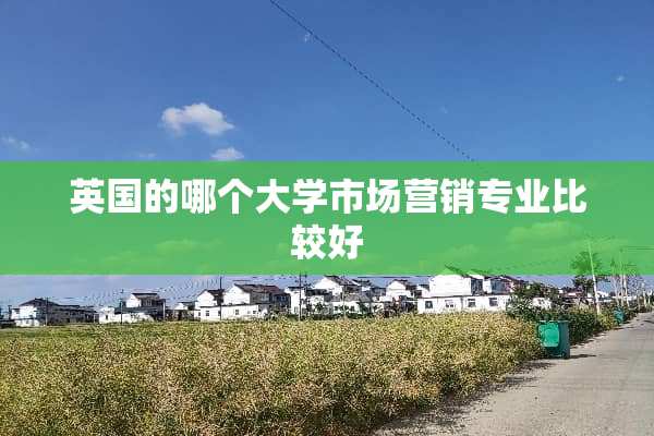 英国的哪个大学市场营销专业比较好