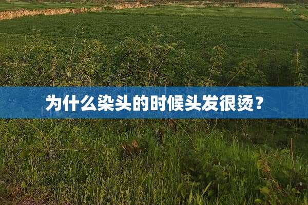 为什么染头的时候头发很烫？