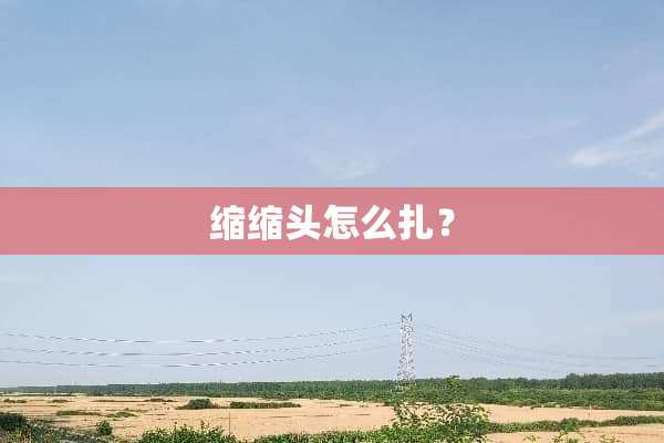 缩缩头怎么扎？
