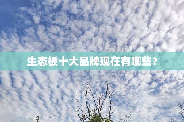生态板十大品牌现在有哪些？