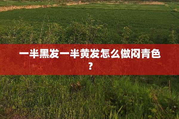 一半黑发一半黄发怎么做闷青色？