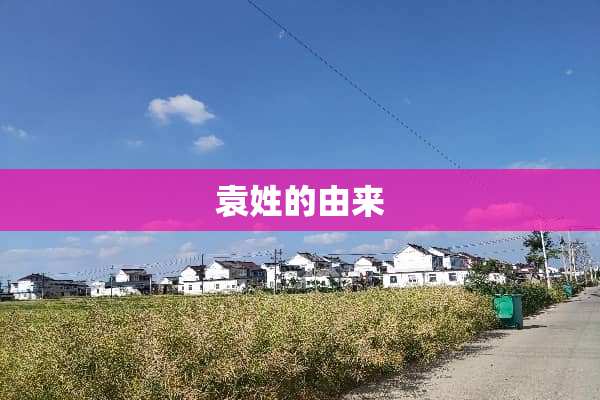 袁姓的由来