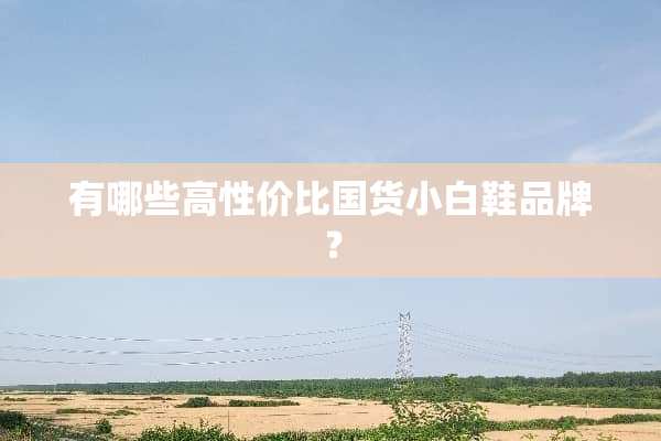 有哪些高性价比国货小白鞋品牌？