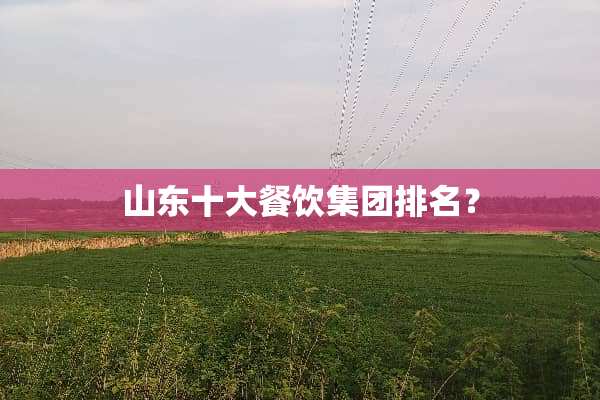 山东十大餐饮集团排名？