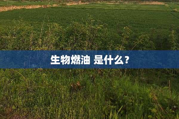 生物燃油 是什么？