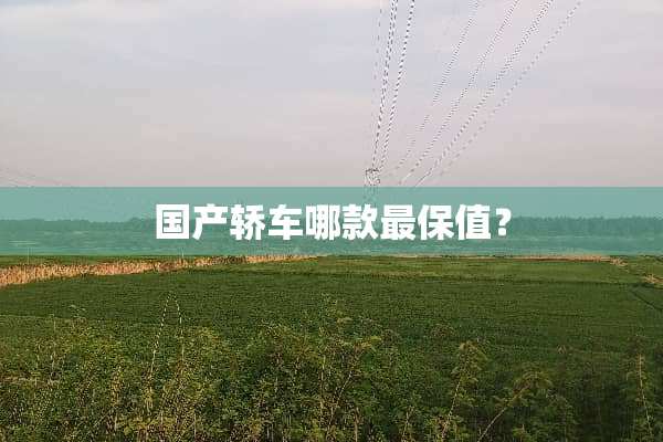 国产轿车哪款最保值？