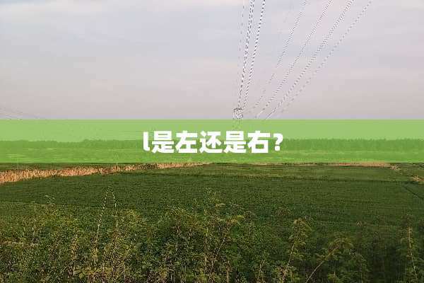 l是左还是右？