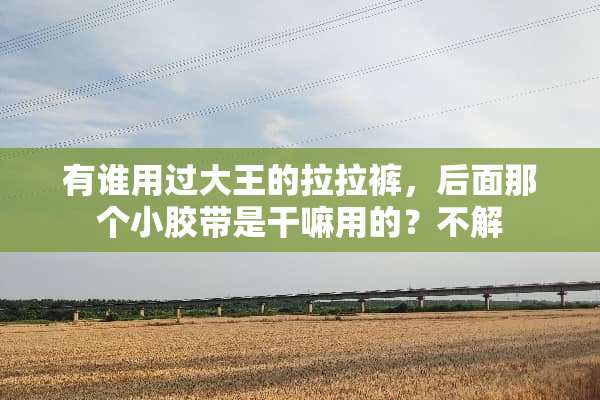 有谁用过大王的拉拉裤，后面那个小胶带是干嘛用的？不解