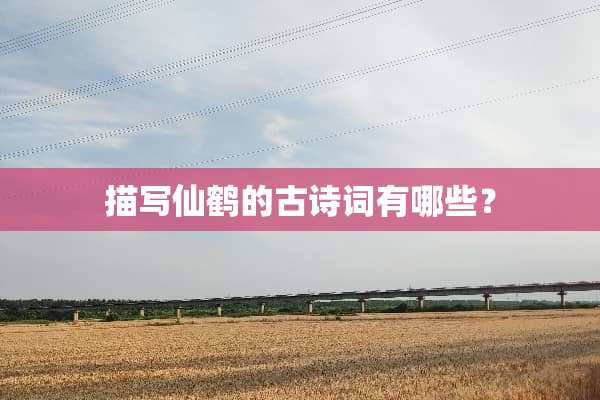 描写仙鹤的古诗词有哪些？