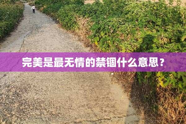 完美是最无情的禁锢什么意思？