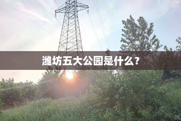 潍坊五大公园是什么？