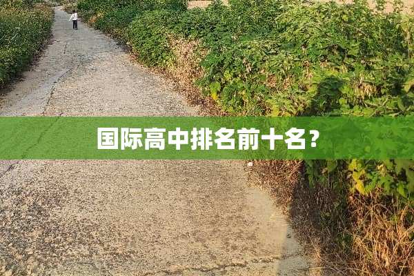 国际高中排名前十名？