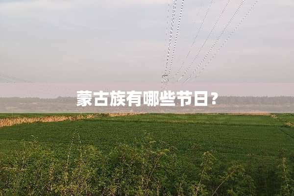 蒙古族有哪些节日？