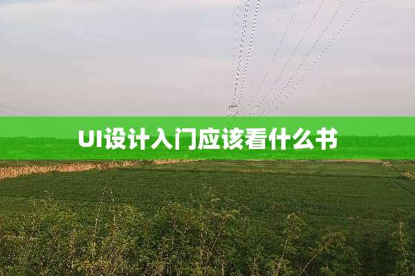 UI设计入门应该看什么书