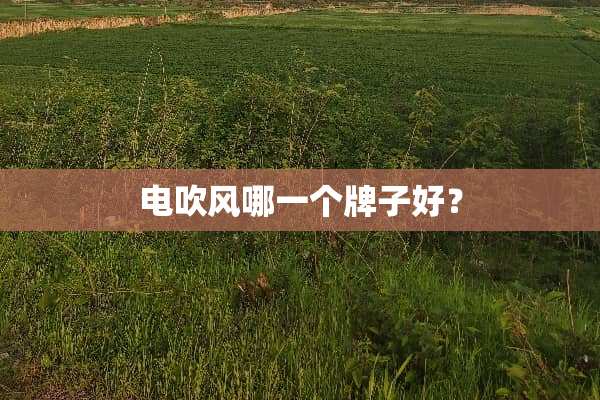 电吹风哪一个牌子好？