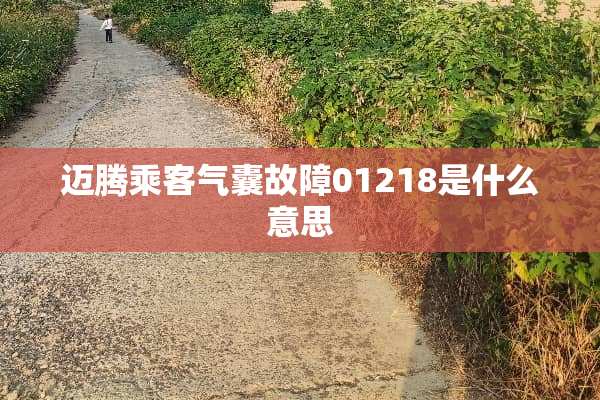 迈腾乘客气囊故障01218是什么意思