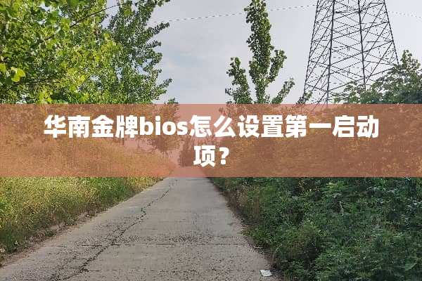 华南金牌bios怎么设置第一启动项？