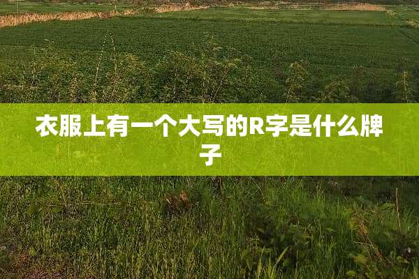 衣服上有一个大写的R字是什么牌子