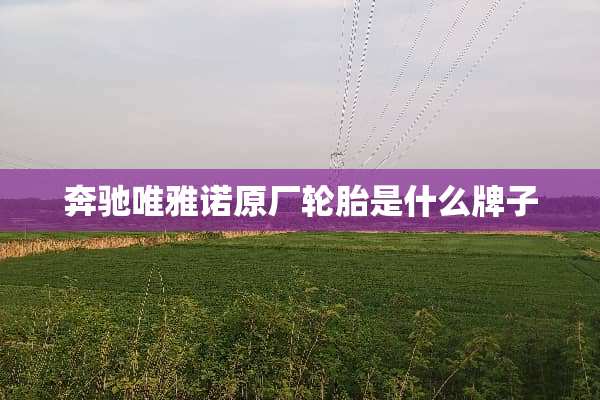 奔驰唯雅诺原厂轮胎是什么牌子