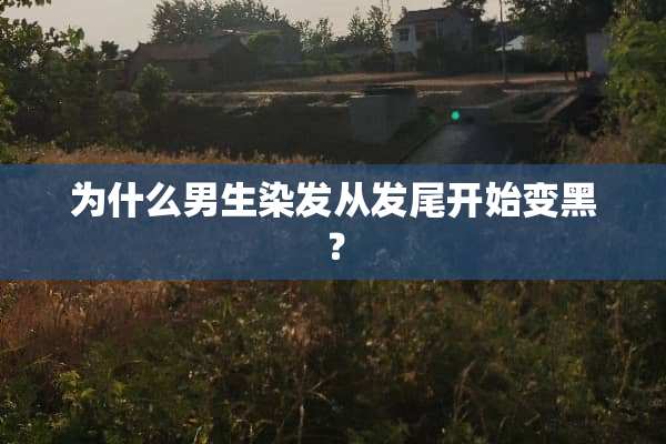 为什么男生染发从发尾开始变黑？