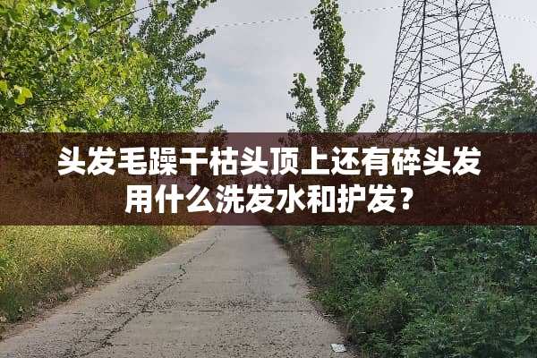 头发毛躁干枯头顶上还有碎头发用什么洗发水和护发？