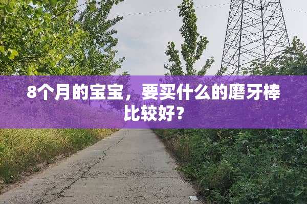 8个月的宝宝，要买什么的磨牙棒比较好？